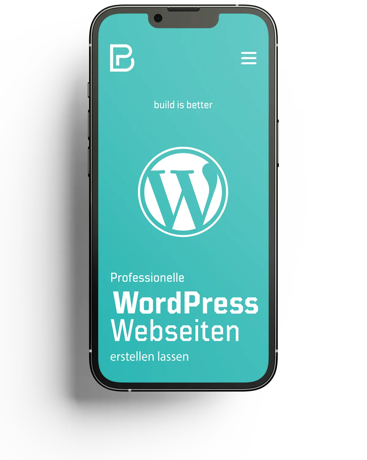 Professionelle WordPress Webseiten Byte Profis